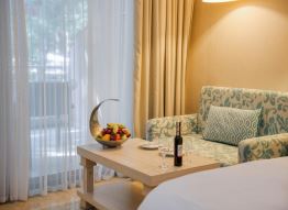 Deluxe Family Room 2