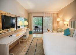 Deluxe Family Room 2