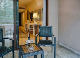 Deluxe Family Room 2