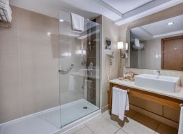 Deluxe Family Room 1