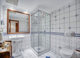 Premium Suite (with fireplace)