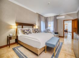 Premium Suite (without fireplace)