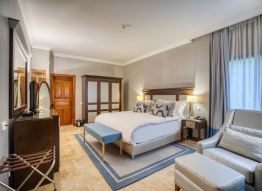 Premium Suite (without fireplace)