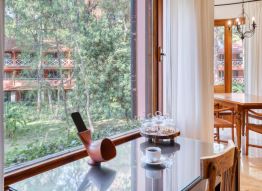 Premium Suite (without fireplace)